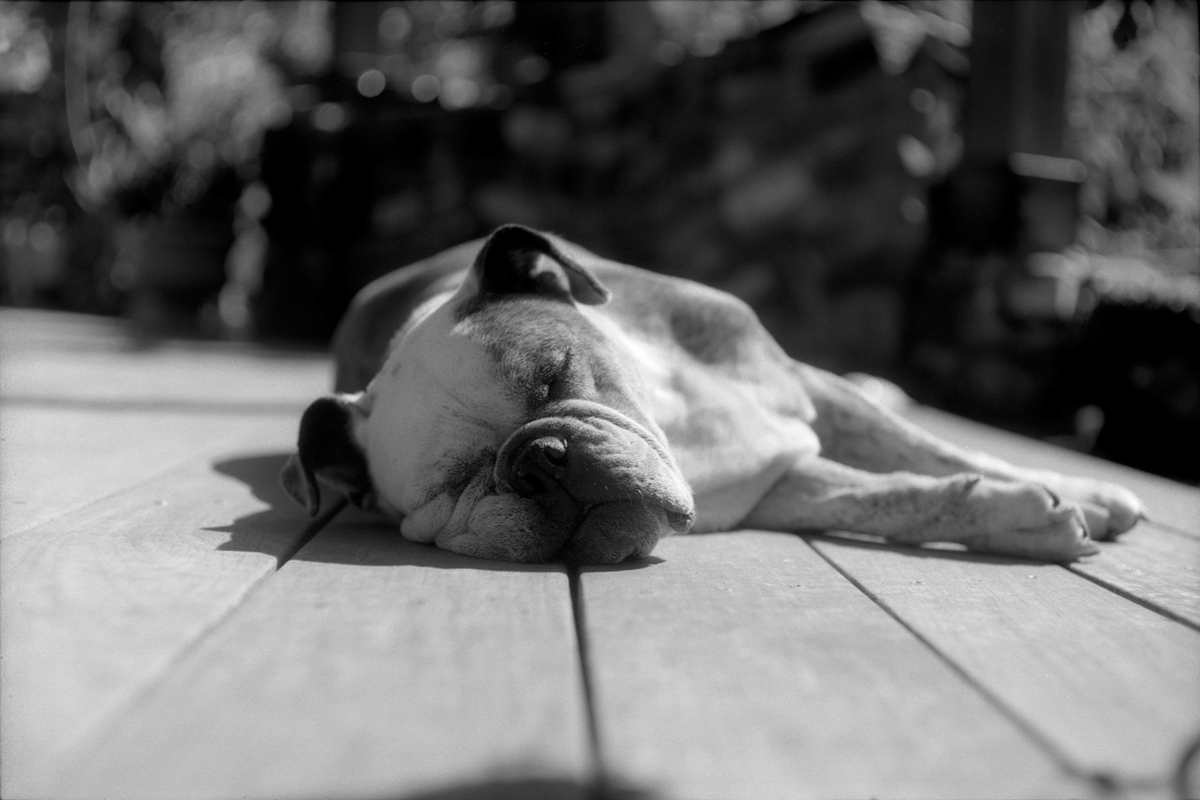 Sun Soaked