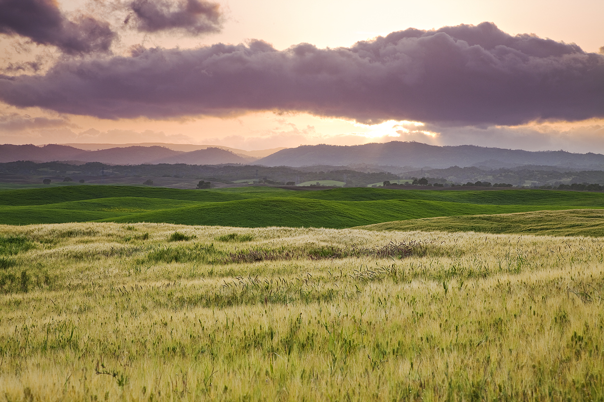 After the Storm:  Dunnigan Hills, CA