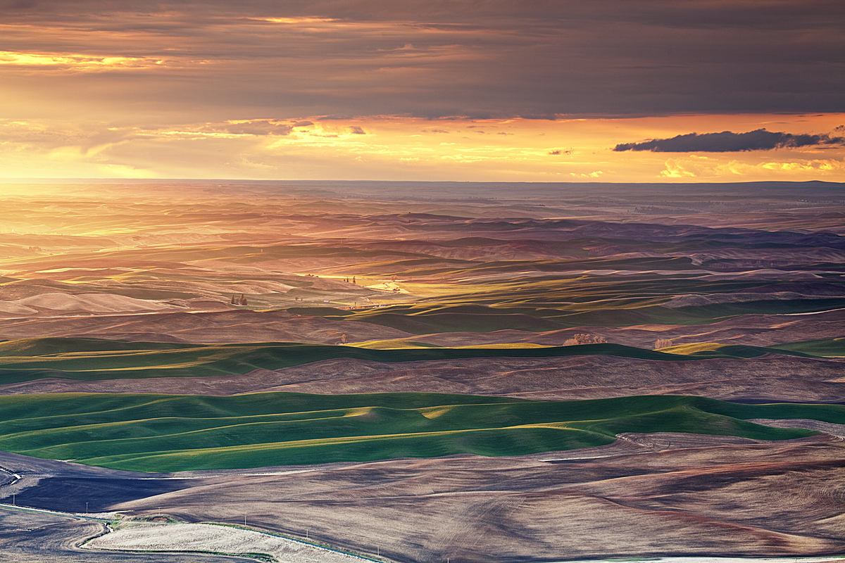 Painted Palouse: Steptoe Butte, WA