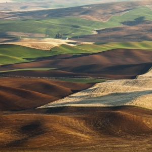 Earth Blankets:  Palouse,WA