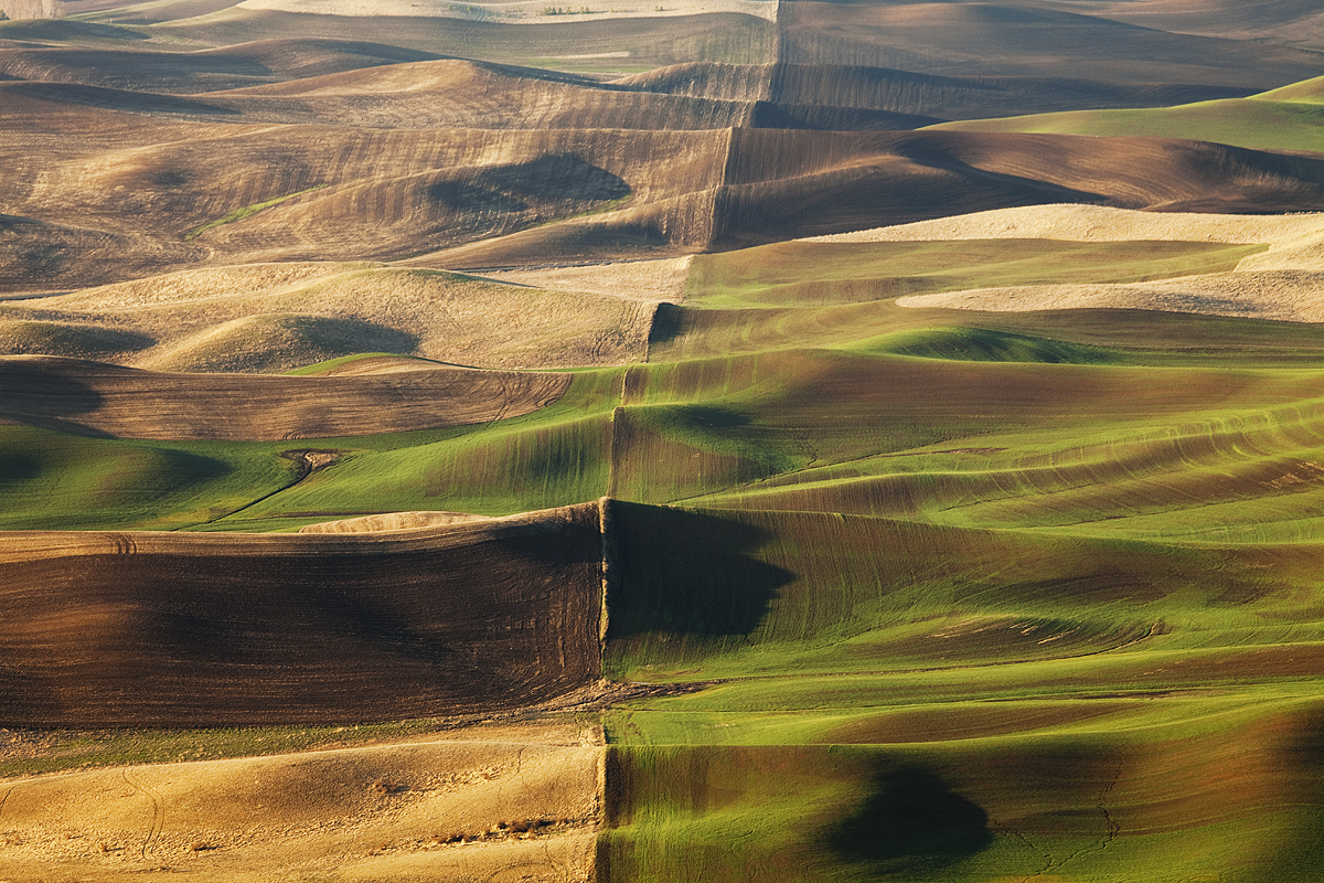 Earth's Backbone:  Palouse, WA