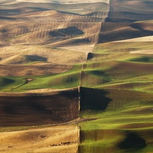 Earth's Backbone:  Palouse, WA
