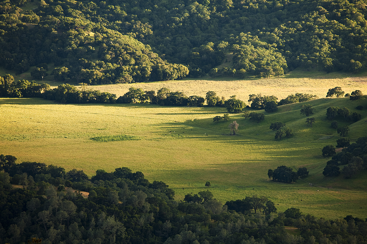 Down in the Valley:  Northern CA