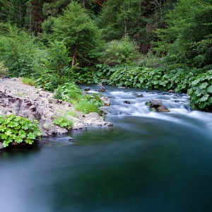 The Fishing Hole:  Mad River, CA