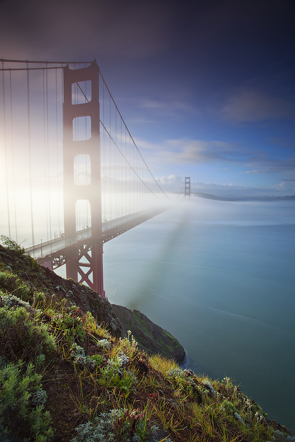 Not So Golden Gate:  CA