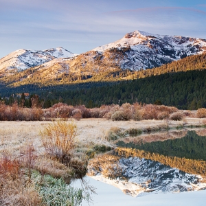 Fall Frost:  Hope Valley, CA