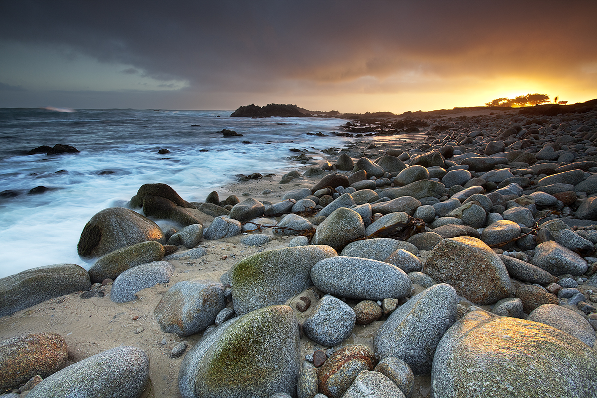 Cypress Morning:  Pacific Grove, CA