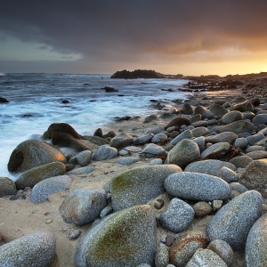 Cypress Morning:  Pacific Grove, CA