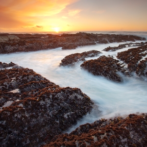 Waterways:  Montana De Oro SP, CA