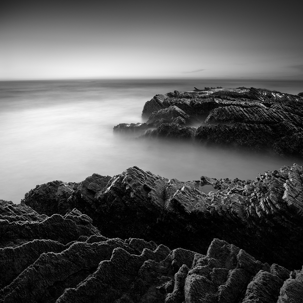 Zig-Zag:  Montana de Oro SP, CA