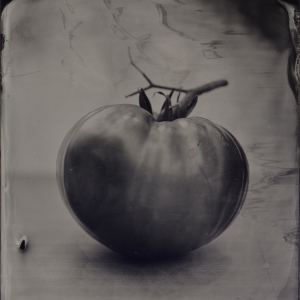 Heirloom Tomato